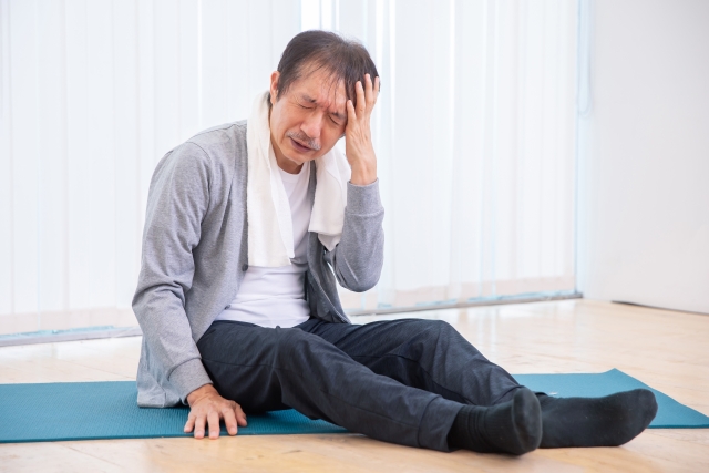 漢方食養療法:脳出血,脳卒中の画像