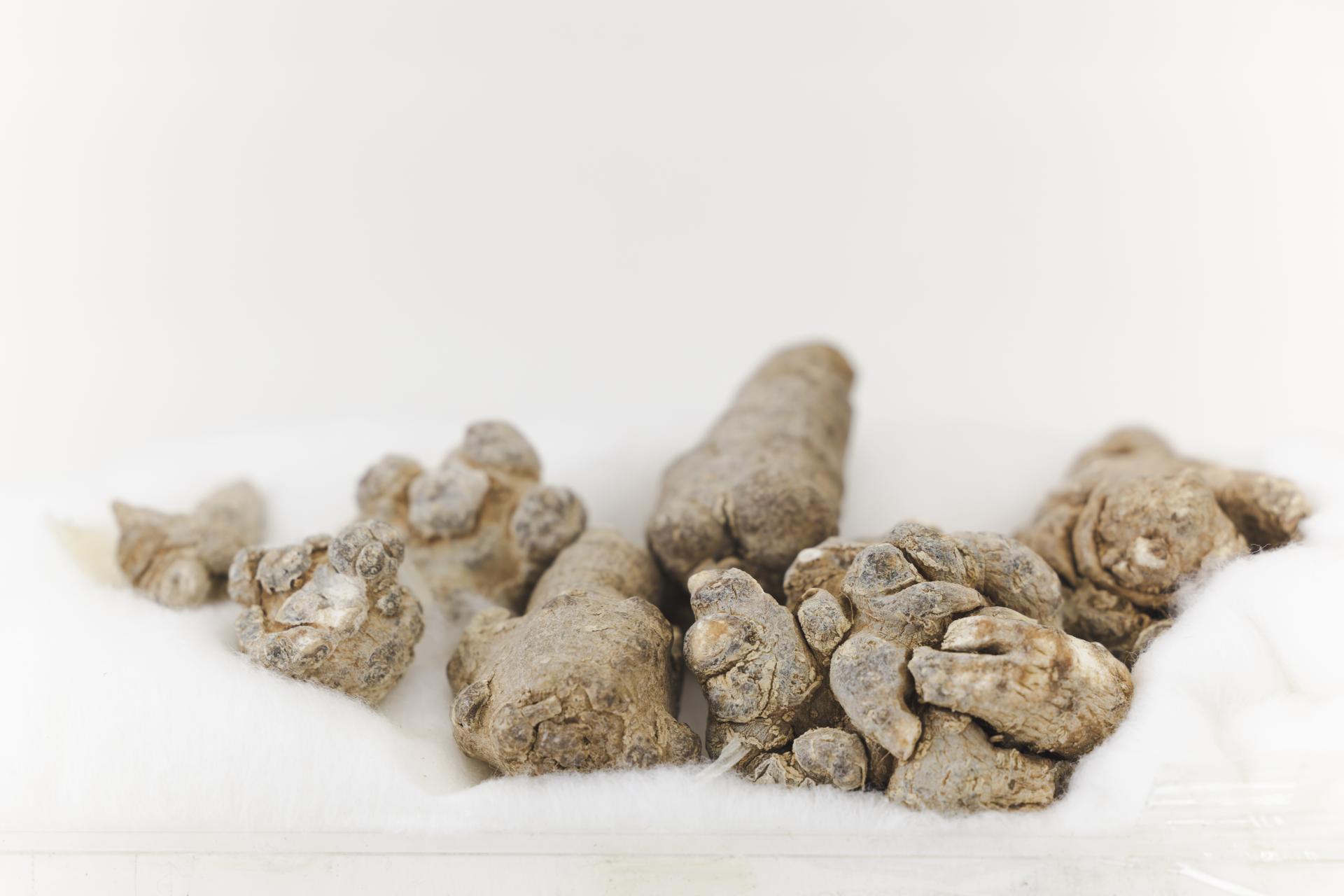 漢方のイメージ画像